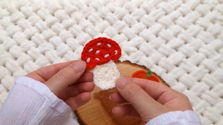 Crochet Fall appliques (6)