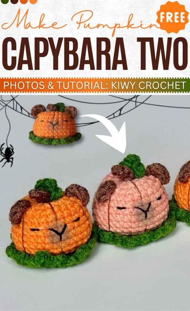 How to crochet capybara pumpkin