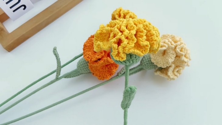 Crochet Carnations Free (3)