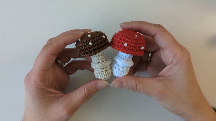 Crochet Mashrooms (1)