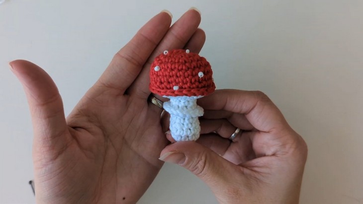 Crochet Mashrooms (3)