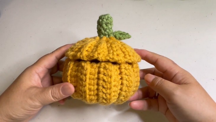Crochet Pumpkin Container (3)