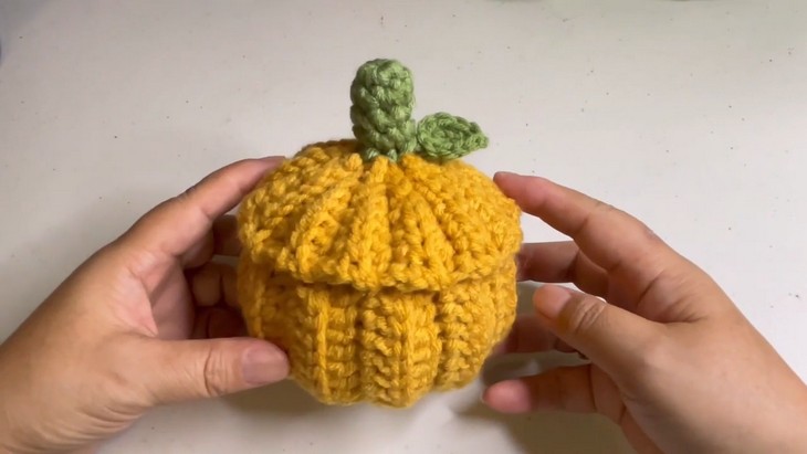 Crochet Pumpkin Container (4)