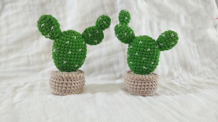 Crochet mini Cactus (1)