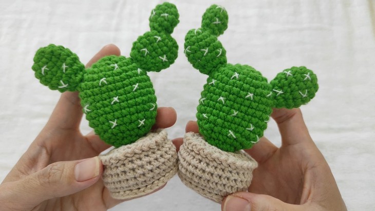 Crochet mini Cactus (3)