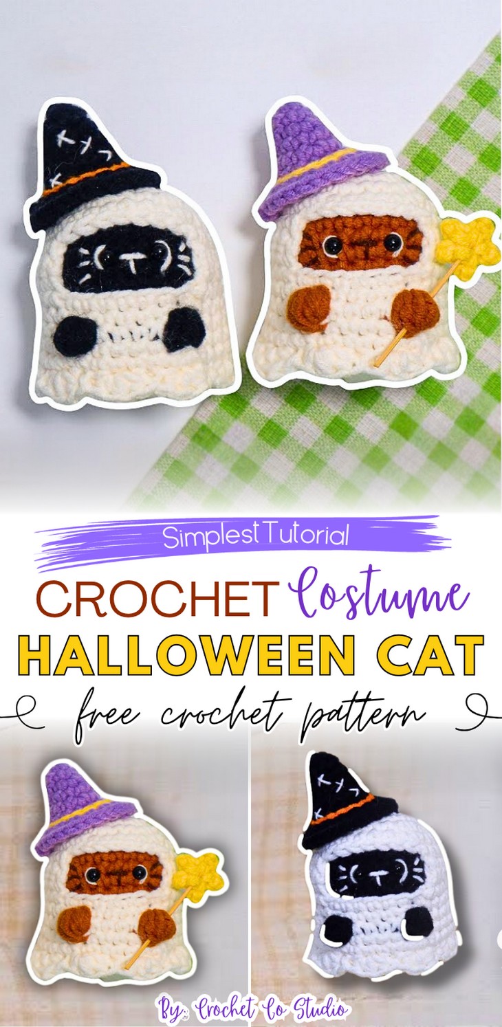 Halloween Costume Cat