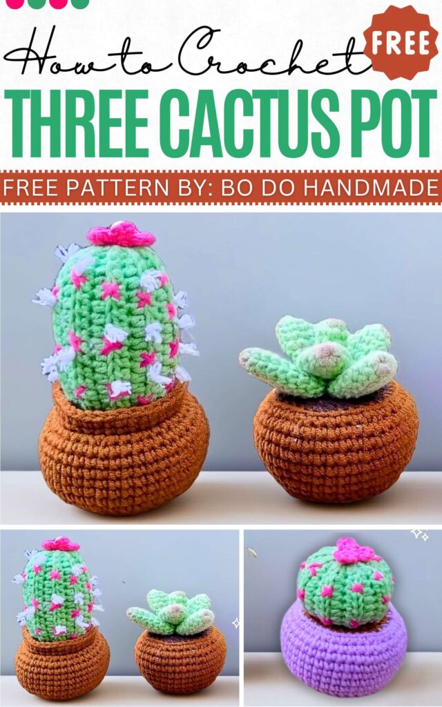How to Crochet Three Cactus POt