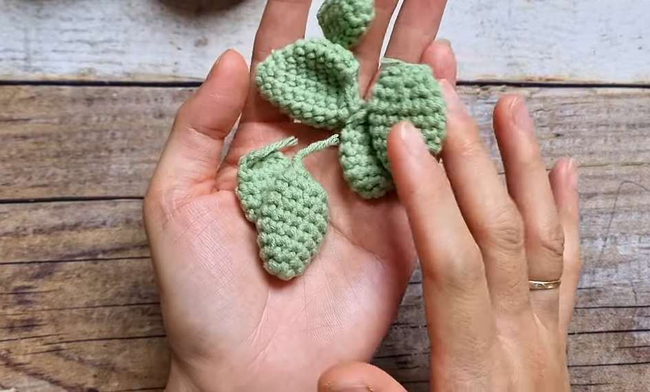 How to Crochet Three Cactus POt.png (4)